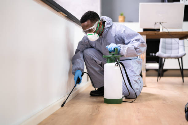 Best Real Estate Pest Inspections  in Oildale, CA